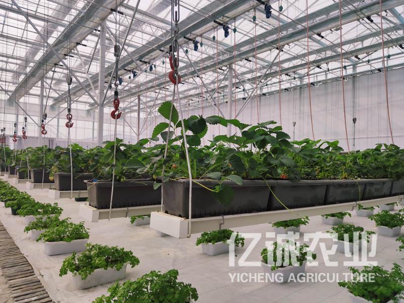 智能蔬菜温室大棚