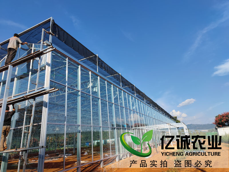温室大棚建设厂家蘑菇种植大棚_温室工程安装_玻璃温室大棚性能特点