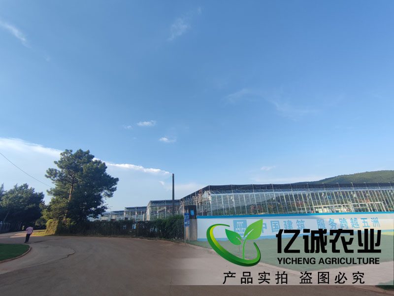 连栋玻璃温室工程