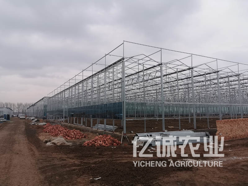 玻璃温室大棚