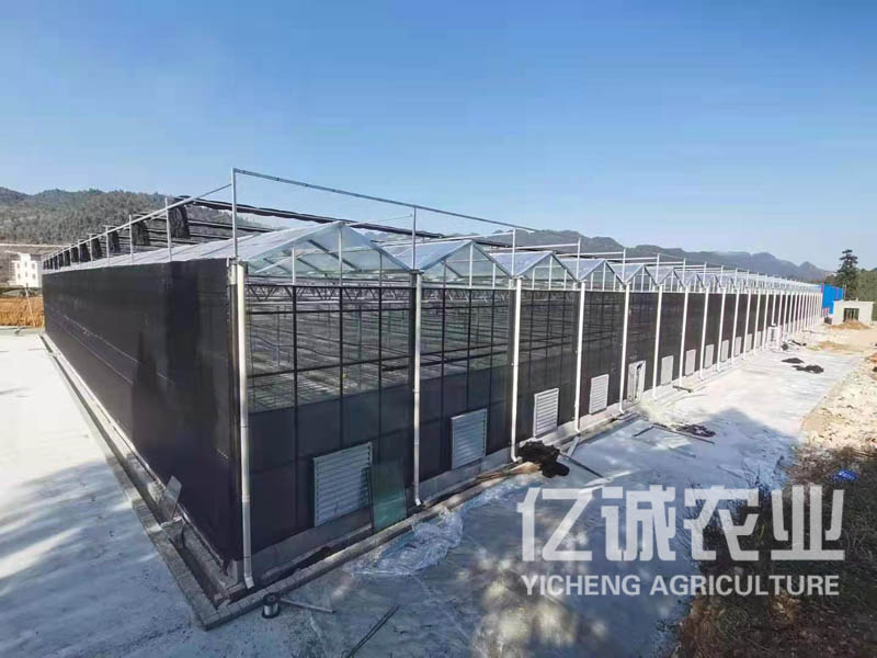 玻璃温室大棚建造