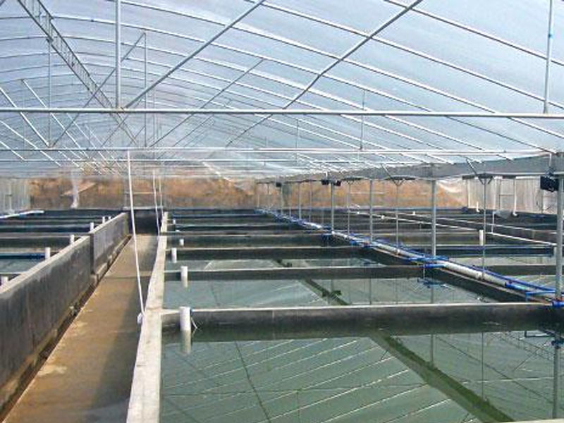 水产养殖温室大棚
