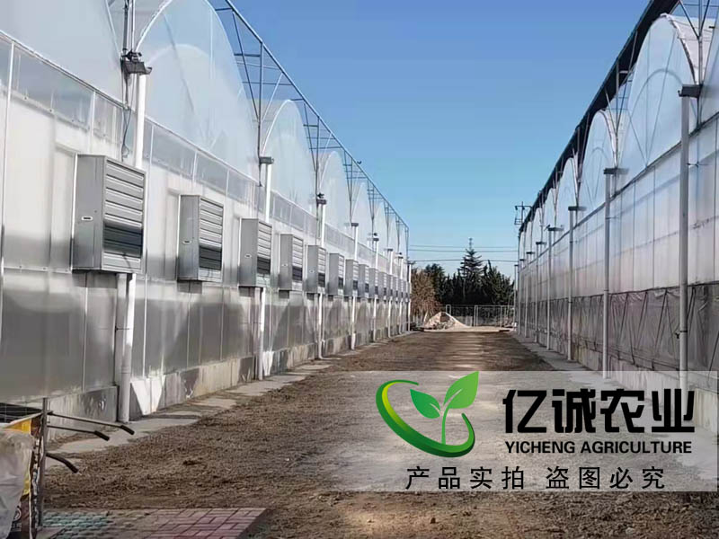 双膜双拱联动大棚建设